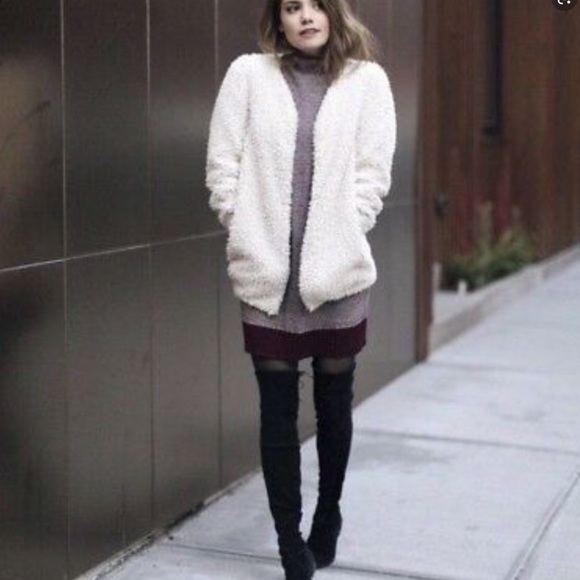 Aritzia Teddy jacket - Picture 13 of 14